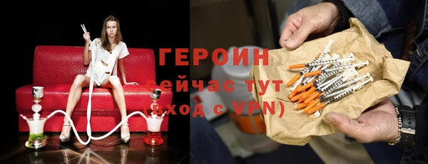 гидра Елизово
