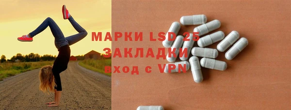 гидра Елизово