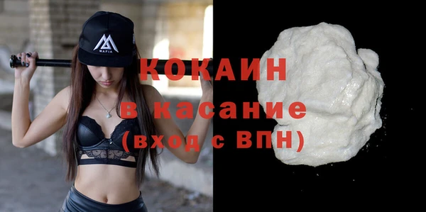 гидра Елизово