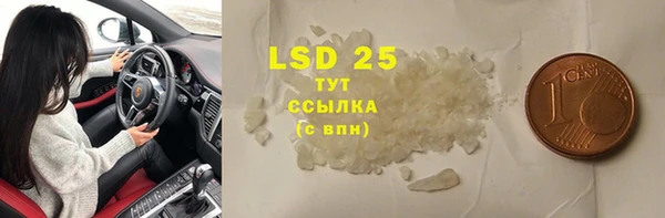 таблы Ельня