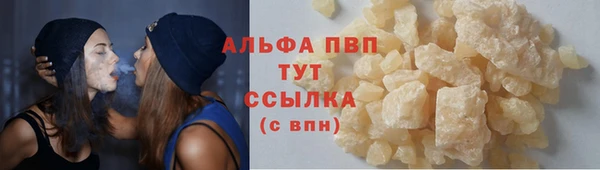 гидра Елизово