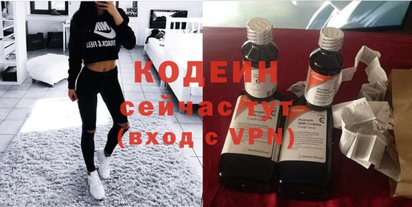 гидра Елизово