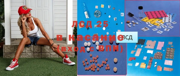 гидра Елизово